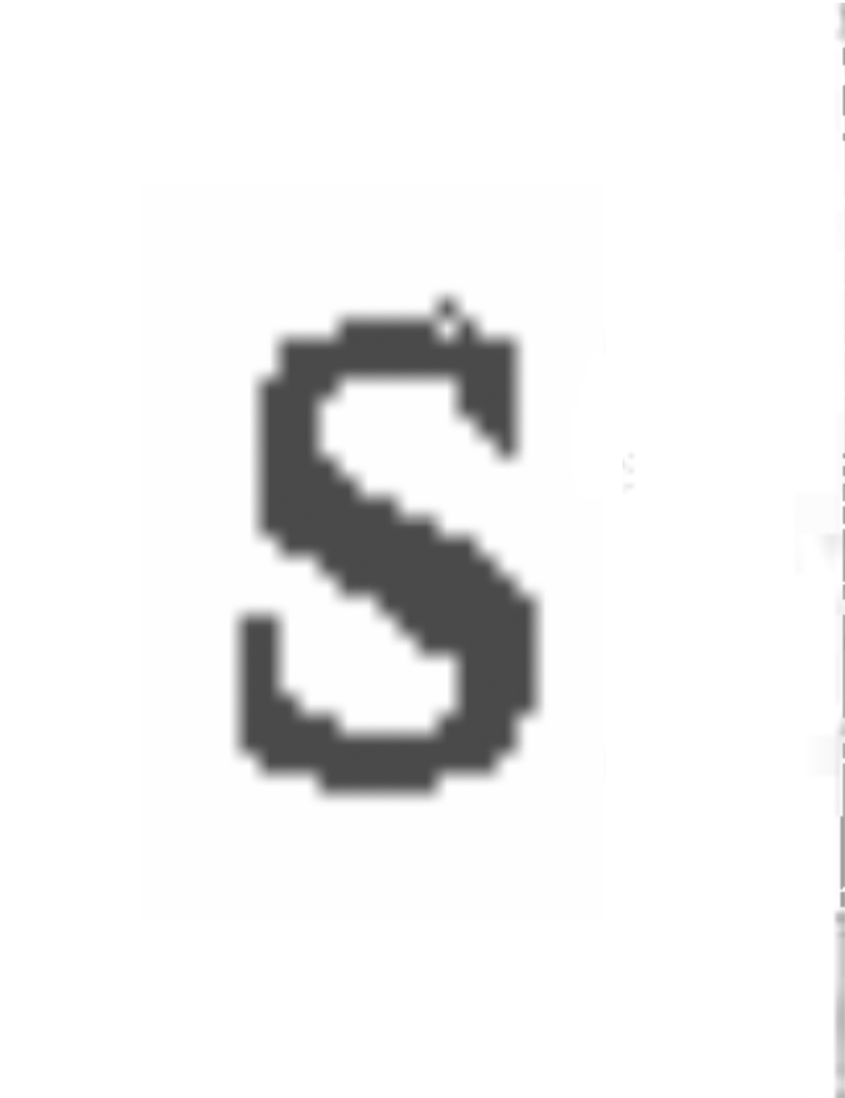 Two S letterforms sit on facing pages in a spread. The left S has a misplaced pixel along its top curve.