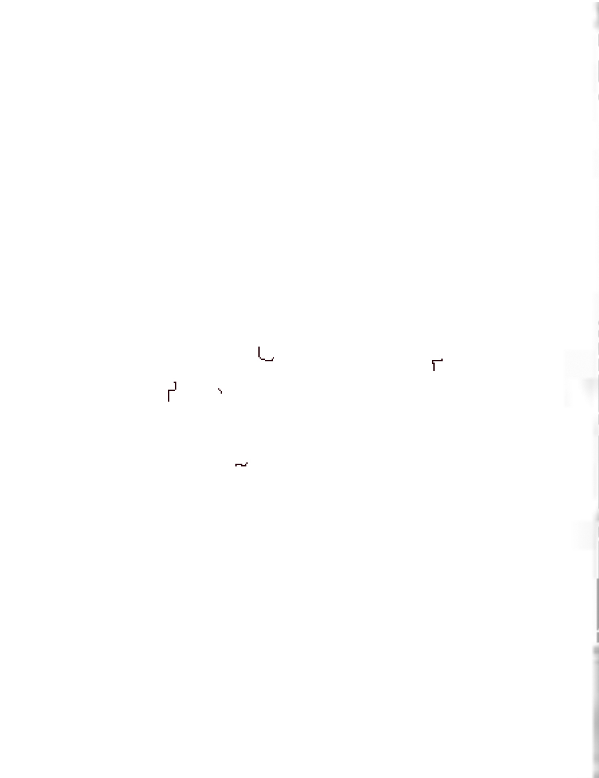 A few short, wavy lines are clumped together on the left and right side of the central margin of a white rectangle.