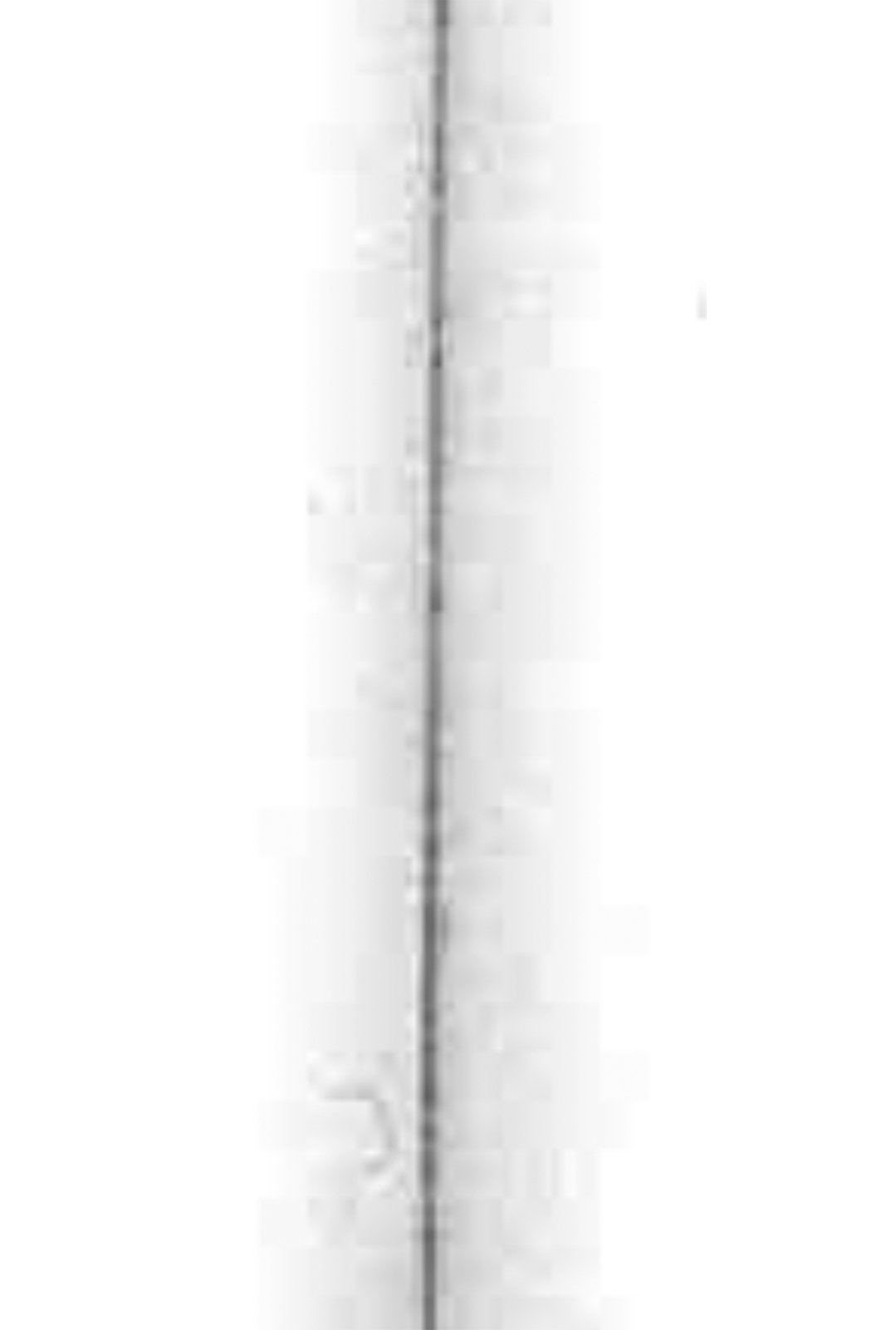 On the right and on the left are other magnified margins with some stray marks that appear to be hairs or specks of dust.